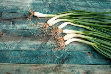 Scallions fresh spring onions on blue wooden table backgroundの写真素材