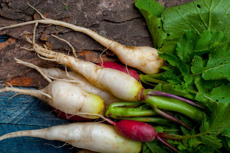 Radish red and white bunch fresh organic with green leaves on wooden table on timber background