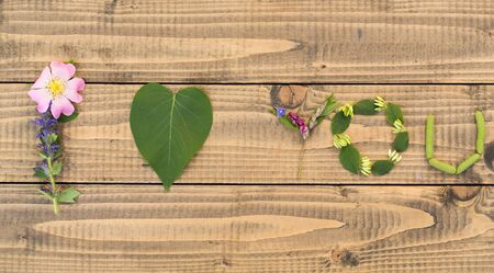 floral text i love you of natural leaves and flowers with heart shape on wooden backgroundの写真素材