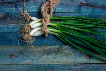 Scallions fresh spring onions roped in bunch on blue wooden table backgroundの写真素材