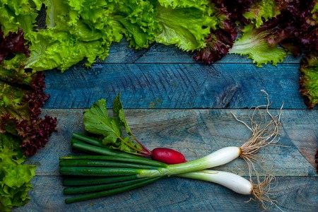 Spring onions red radish and green salad leaves fresh wet on wooden table backgroundの写真素材