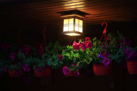 ceiling square lamp illuminating with warm light near pink flowers hanging in potsの写真素材