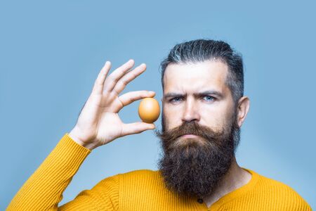 handsome bearded man with long lush beard and moustache on serious face holding egg in yellow shirt in studio on blue backgroundの写真素材