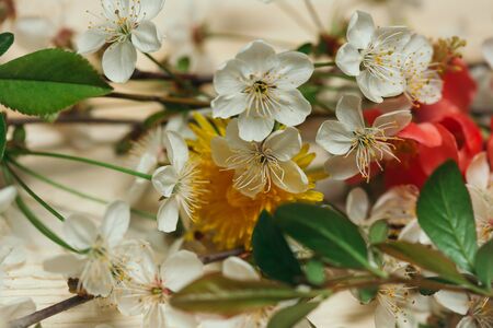 Blooming spring flowers with green leaves on wooden background