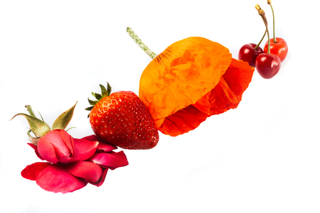 red strawberry and cherry with rose flower and poppy isolated on white background, copy spaceの写真素材