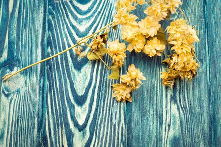 yellow seasonal branch with dried bloom flowers lying on textured bright blue wooden background, copy spaceの写真素材