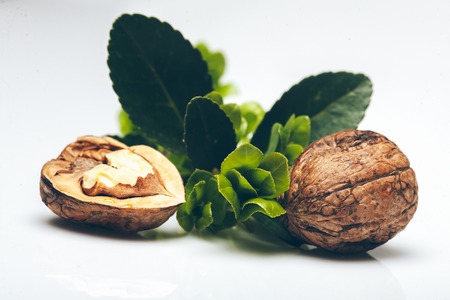 hard mature walnuts in shell brown color with kernel and green fresh bay leaves isolated on white backgroundの写真素材