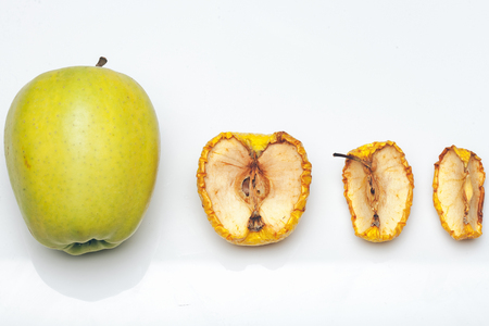 fresh green apple compared with dried and wrinkled pieces with seeds isolated on white background, time or aging conceptの写真素材