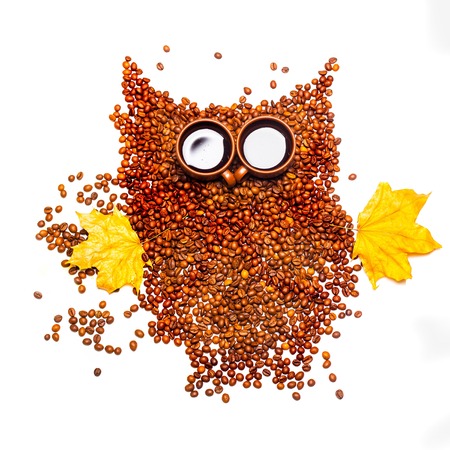 owl made of many coffee beans and drink in brown cups as eyes with wings of yellow autumn maple leaves isolated on white backgroundの写真素材