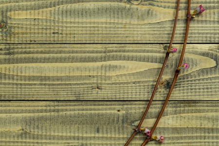young thin branch of pink rose flower with bud on brown textured wooden background, copy spaceの写真素材