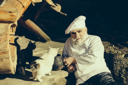 bearded man cook chef in uniform and hat with long beard on smiling face holding iron old tea kettle near black and white cats sunny day outdoor on wooden backgroundの写真素材