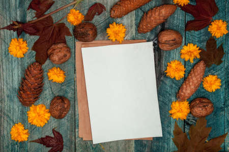 Paper sheets white brown in frame of leaves marigolds walnuts and cones on blue wooden backgroundの写真素材