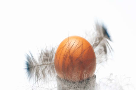 Organic domestic egg with brown eggshell and beautiful feather on white background closeupの写真素材