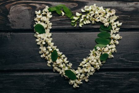 Heart wreath of white acacia blossoming flower petals and green leaves on dark timber backgroundの写真素材