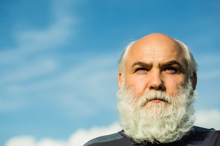male eye with bright blue lens and hairy eyebrow of old bearded man with long beard on serious face...