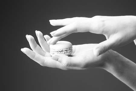 female hands with soft tender skin and manicure holding french biscuit of macaron or macaroon on studio background, black and whiteの写真素材