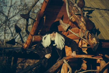 Old druid man with long silver hair and beard in black Halloween hat stands outdoors on sunny day on...