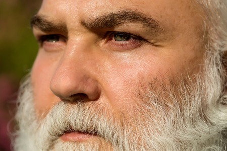 male eye with bright striped lens and hairy eyebrow of old bearded man with wrinkled skin and long...