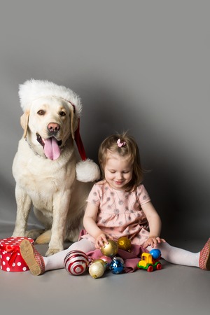 Happy little girl with smiling funny face playing with decoration balls near labrador dog pet in santa claus hat in studio on grey backgroundの写真素材