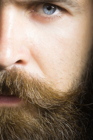 handsome sexy bearded young man hipster with long beard and mustache on serious hairy face, closeupの写真素材