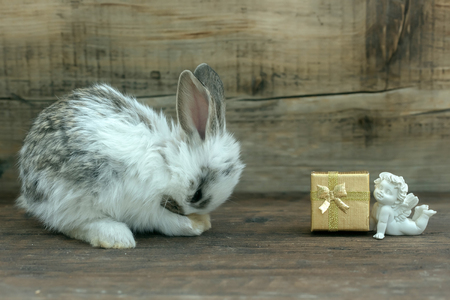 Cute little rabbit and dreaming angel beautiful white porcelain figurine with golden gift box on wooden backgroundの写真素材