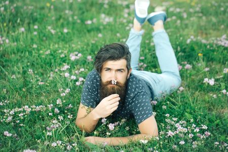 handsome sexy bearded young man hipster with long beard and mustache on happy face relax and laying on green grass field with wild flowers outdoor on natural backgroundの写真素材