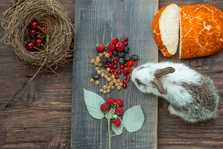 cute small fluffy rabbit or hare near baked loaf of wheat bread and cut slice on wooden board with wild berries of red and white currant blackberry strawberry and raspberryの写真素材