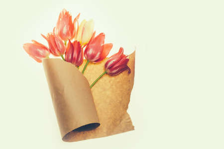 seasonal tulip flower bouquet red color on green stem in paper in spring isolated on white background, closeup, copy spaceの写真素材