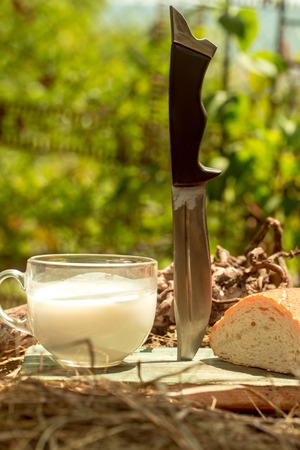 Freshly baked loaf of wheat bread and cut slice on wooden board on straw or hay background with glass cup of milk near sharp knifeの写真素材