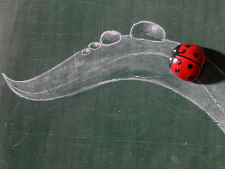 Artificial ladybug insect red colored with black dots on beautiful leaf drawing by white chalk on green blackboard background copy spaceの写真素材
