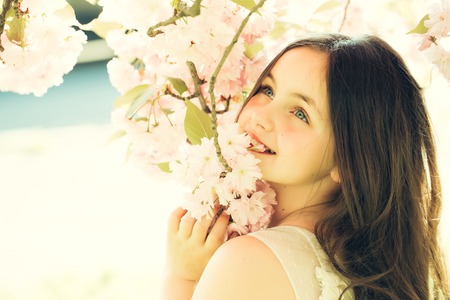 Beautiful small girl in white glamour dress with long hair and smiling face in spring pink flower blossom sunny dayの写真素材