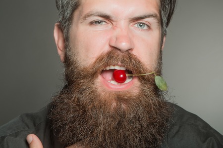 handsome bearded young man hipster with long beard and mustache has stylish hair on emotional hairy face sunny day outdoor holding red cherry in mouth, closeupの写真素材