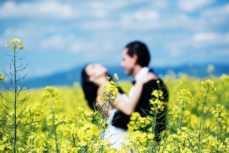 young wedding couple of girl with brunette hair in white bride dress and handsome man in black groom suit kiss in field with yellow flowers on natural blurred or defocused background with blue skyの写真素材