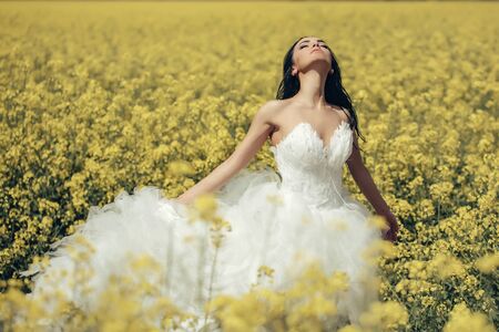 young wedding girl woman with brunette hair and pretty face in white bride dress in field with yellow flowers on natural background sunny outdoorの写真素材