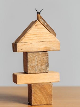 Wooden house of toy building blocks with snail slug gastropod mollusc on roof on timber deskの写真素材
