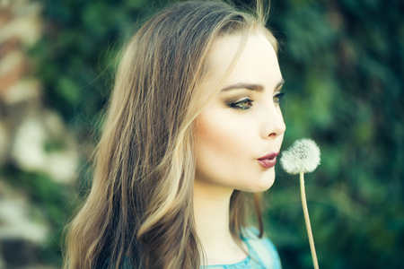 pretty young sexy woman or girl with cute face and long hair with fashionable makeup holding dandelion flower sunny outdoor with green leaves on stony wall backgroundの写真素材