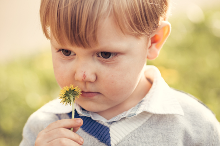 Cute baby boy child with blond hair sniffs at flower yellow dandelion outdoors on summer day on natural backgroundの写真素材