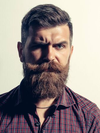 Frown bearded man with beard moustache and gray hair stylish hipster male in purple shirt isolated...
