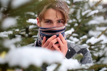 handsome bearded young man or sexy guy in winter sweater outdoor in forest with fir trees in snow on cold natural backgroundの写真素材