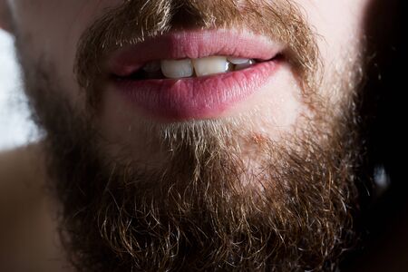lush beard and stylish mustache on male unshaven face with open mouth and teeth of bearded man, closeupの写真素材