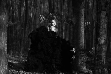 young pretty sexy woman in elegant evening dress with skirt and long curly hair near tree in deep forest in sun light, black and whiteの写真素材