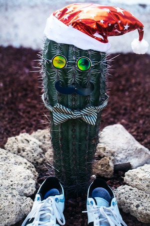 Cute cactus or desert thorny plant dressed as man in red santa hat, sport shoes with glasses, moustache, bow tie outdoors on stony backgroundの写真素材