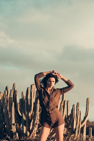Pretty girl or beautiful woman, sexy slim brunette wearing sexi brown shirt at desert cacti in evening sunlight outdoors on grey sky backgroundの写真素材