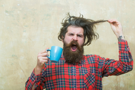 Angry bearded man, caucasian hipster, with long beard and moustache holding stylish fringe hair, haircut, and blue cup in red plaid shirt on abstract pink wall backgroundの写真素材