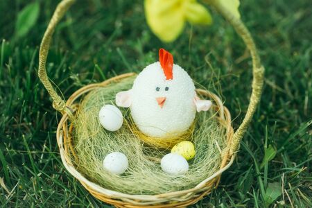Easter decoration chicken with eggs in basket on green grass backgroundの写真素材
