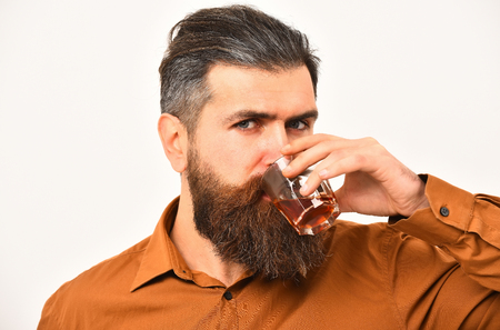 bearded man, long beard, brutal caucasian hipster with moustache holding glass with alcoholic drink, whiskey has serious face, in orange color shirt isolated on white backgroundの写真素材