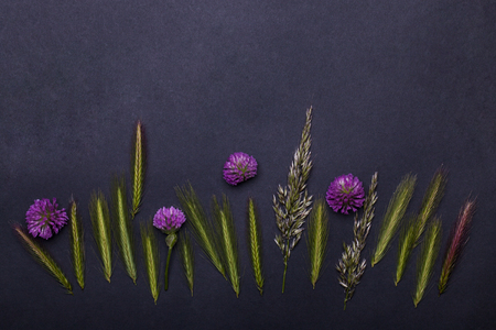 beautiful spring flowers violet color with spikelet green grass, floral seasonal blossom design on grey background, copy spaceの写真素材