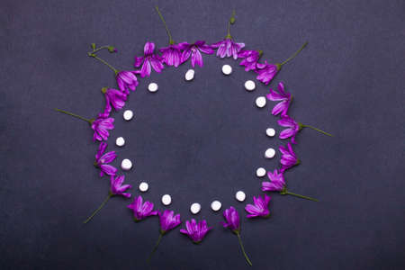 violet spring flowers and tasty marshmallow, zephyr on grey background, copy spaceの写真素材