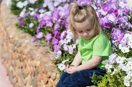 Childhood, happiness. Cute baby boy, little child with blond hair in green tshirt playing at flowerbed with white, violet blossoming flowers in spring, summer park sunny outdoors on natural backgroundの写真素材