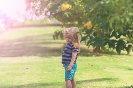 vacation, childhood and nature. cute baby boy, small child with long blond hair, in blue clothes at yellow blossoming flowers from bushes on green grass in summer park on sunny natural backgroundの写真素材